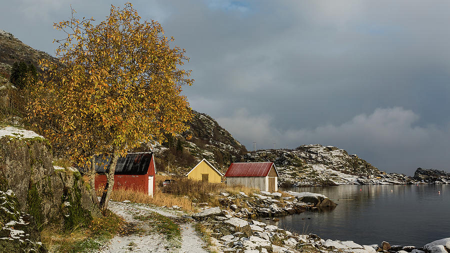Coast Scape Photograph by Tommy Johansen. Freelance Photographer In Lofoten Norway.