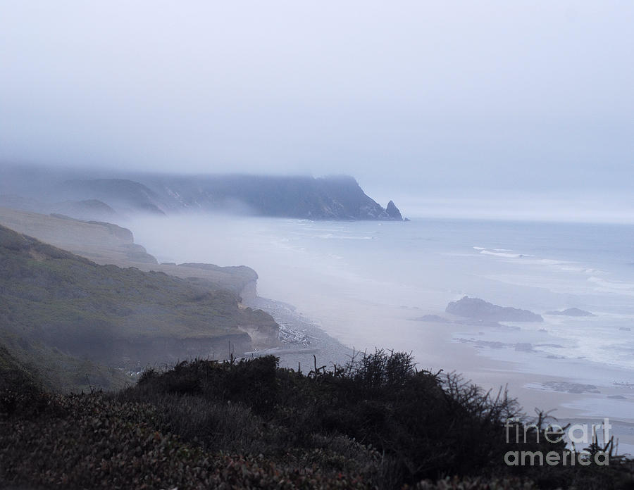 Coastal Atmosphere Photograph by Sharon Elliott