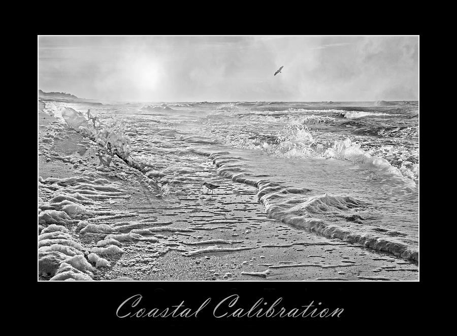 Osprey Digital Art - Coastal Calibration by Betsy Knapp