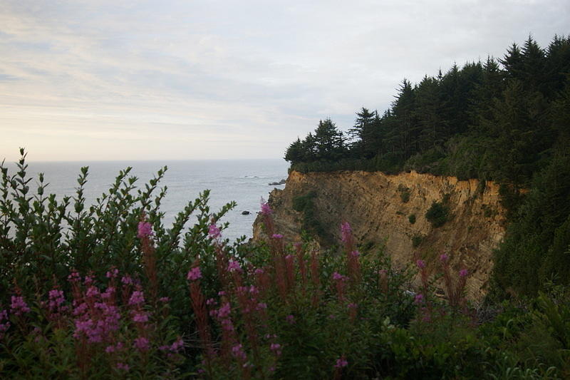 Coastal Cliffs Photograph by Beth Collins