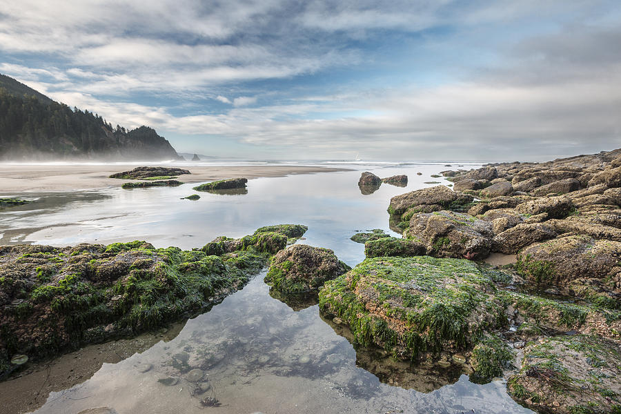 Nature Photograph - Coastal Colors by Jon Glaser