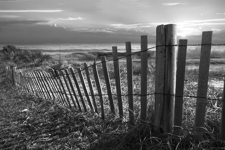 Spring Photograph - Coastal Dunes in Black and White by Debra and Dave Vanderlaan