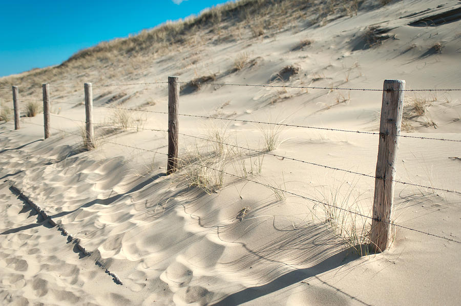 Coastal Dunes in Holland 3 Photograph by Jenny Rainbow