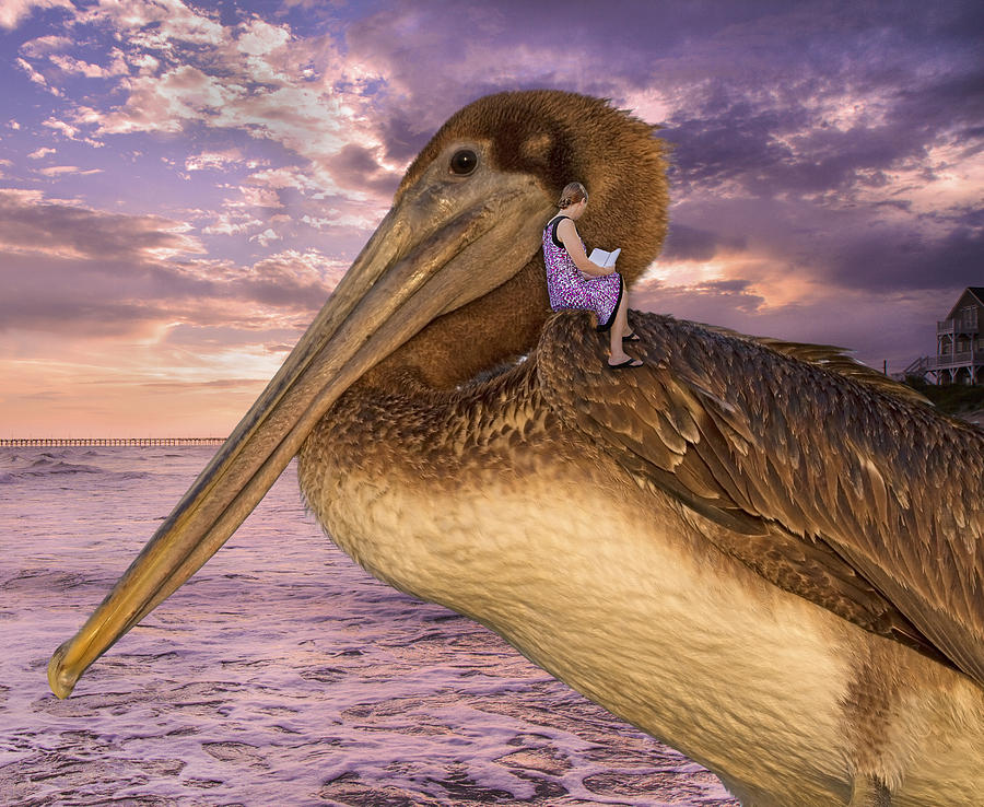 Pelican Digital Art - Coastal Fairytales by Betsy Knapp