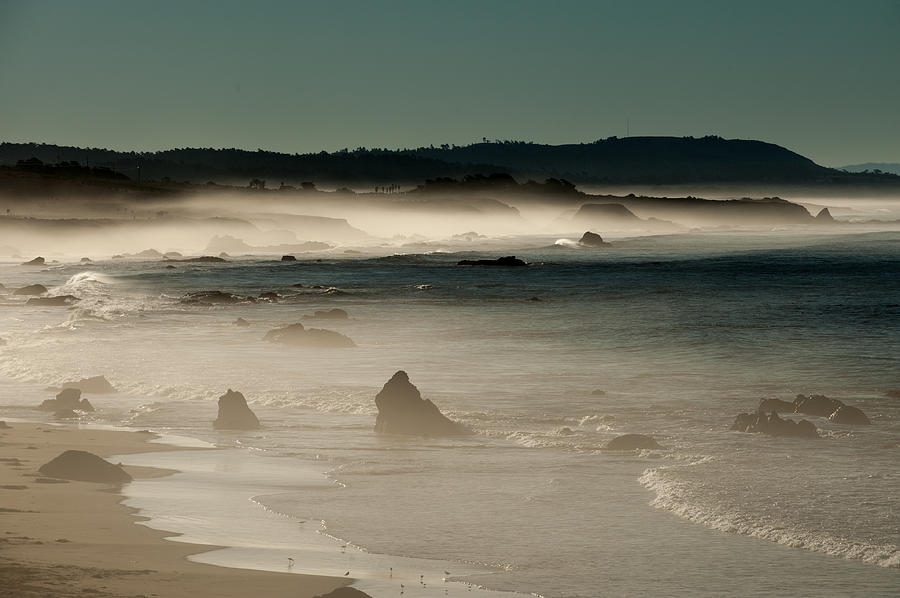 Coastal Fog Photograph by George Buxbaum