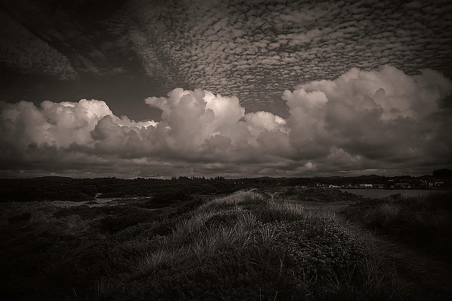 Beach Photograph - Coastal Grasslands by Melanie Lankford Photography