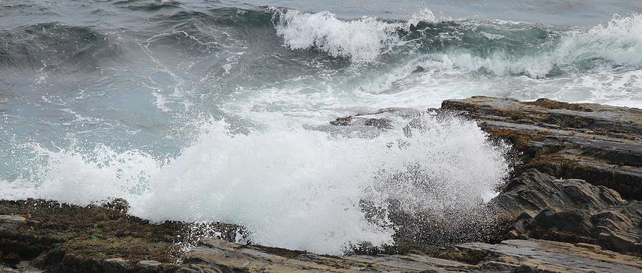 Nature Photograph - Coastal Maine 14 by Susan Feeley