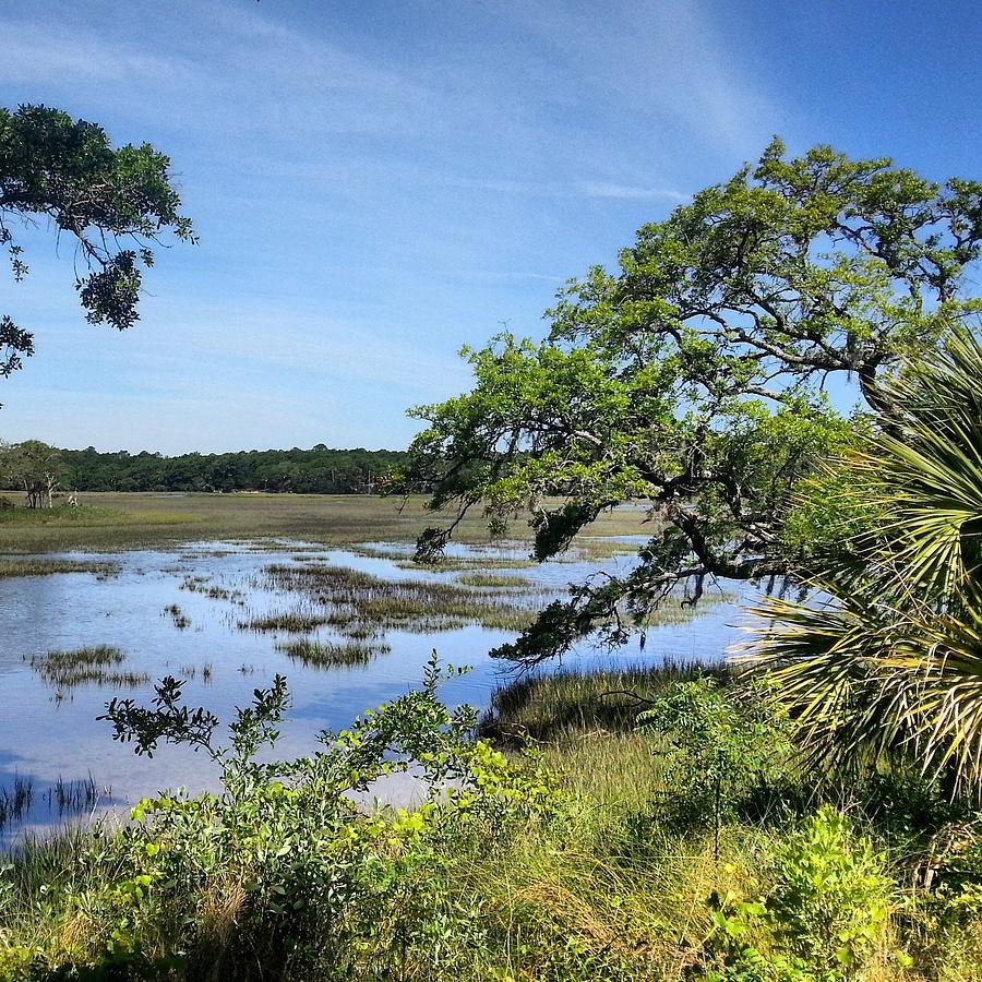 Coastal Marsh Photograph by Jamie Mitchem - Fine Art America