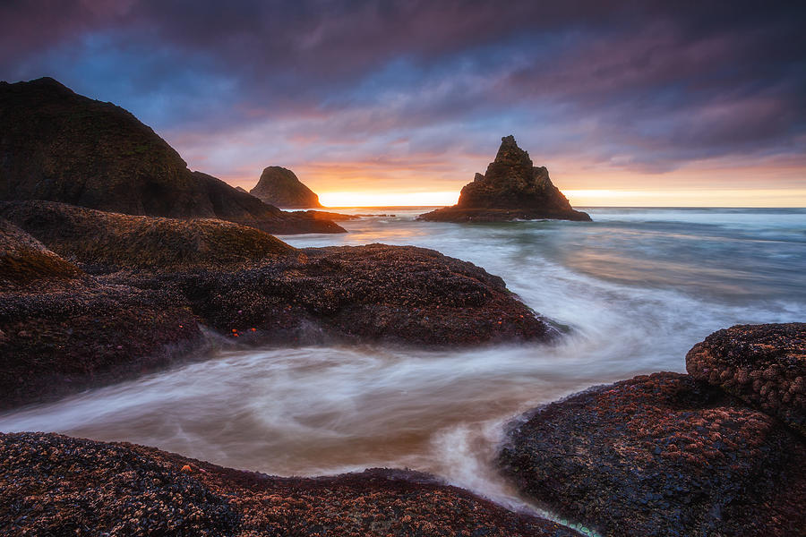 Coastal Mysteries Photograph by Darren White