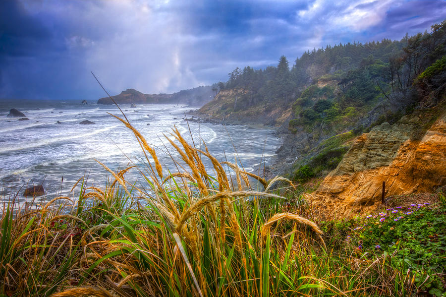 Coastal Oregon Photograph by Debra and Dave Vanderlaan