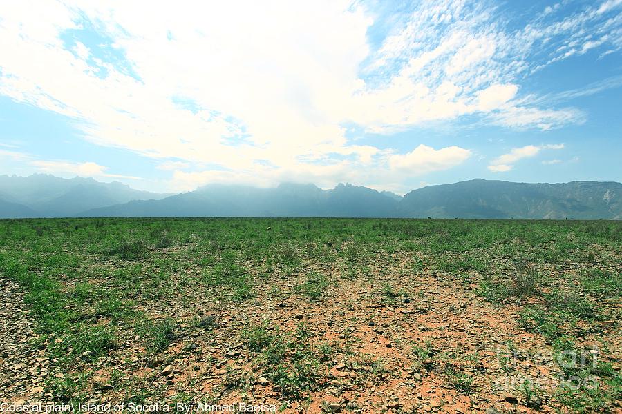 Coastal Plain in Socotra Photograph by Muneer Binwaber