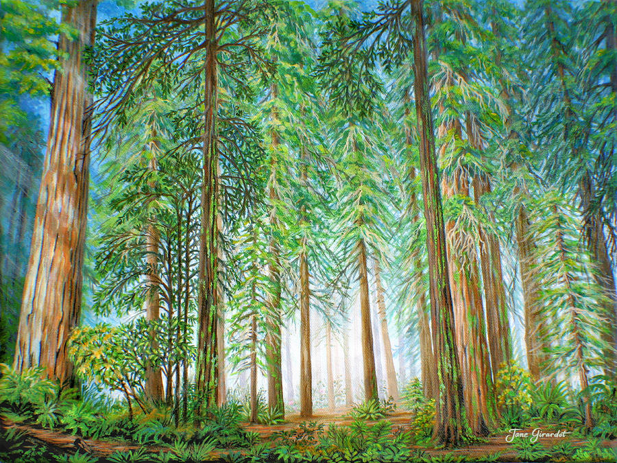 Coastal Redwoods Painting by Jane Girardot