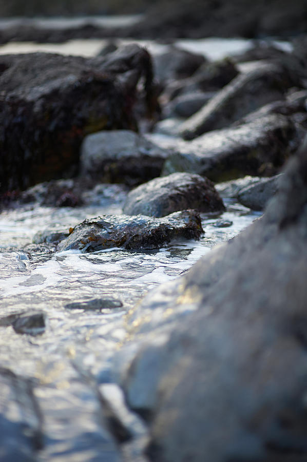 Coastal Rocks Close Up Photograph by Dougal Waters