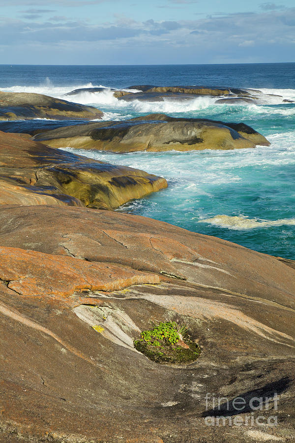Coastal Rocks Along William Bay Photograph by Yva Momatiuk John Eastcott