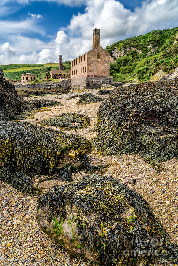 Architecture Photograph - Coastal Ruins by Adrian Evans