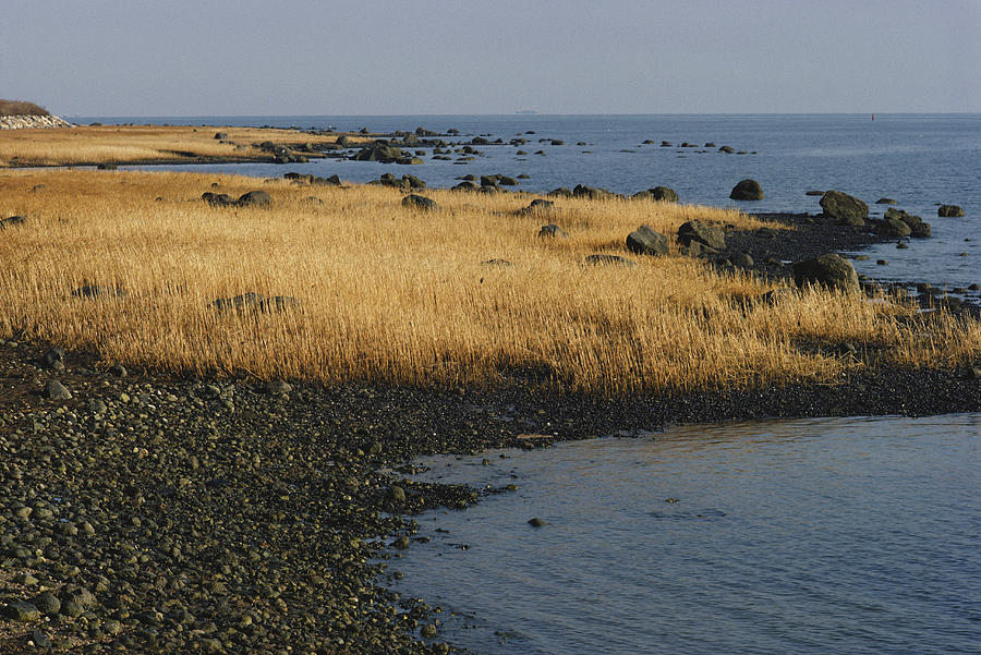 Coastal Salt Marsh Photograph by John W. Bova