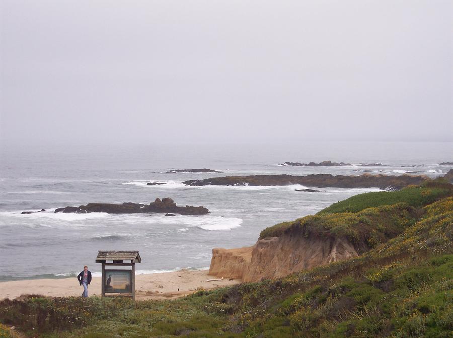 Coast Photograph - Coastal Scene 7 by Pharris Art Coast Photograph - Coastal Scene 7 by Pharris Art