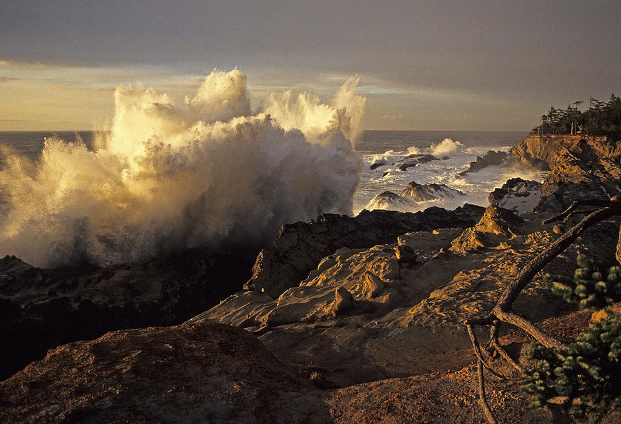 Coastal Storm Wave Photograph by Doug Davidson
