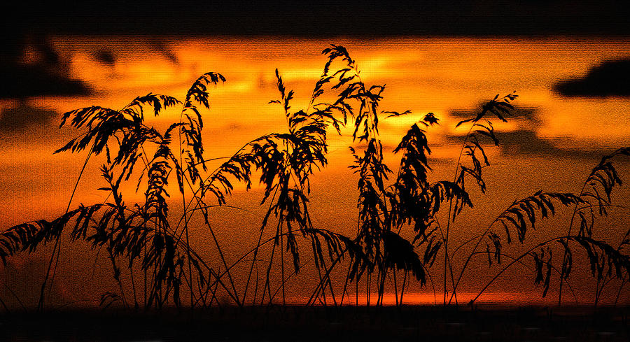 Summer Photograph - Coastal sunset by David Lee Thompson