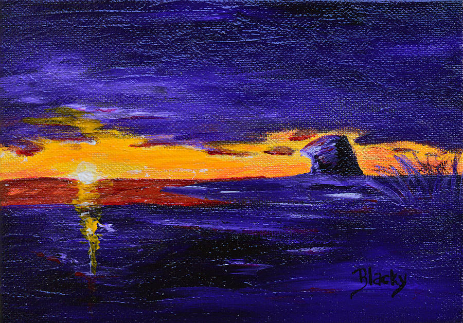 Coastal Sunset Painting by Donna Blackhall