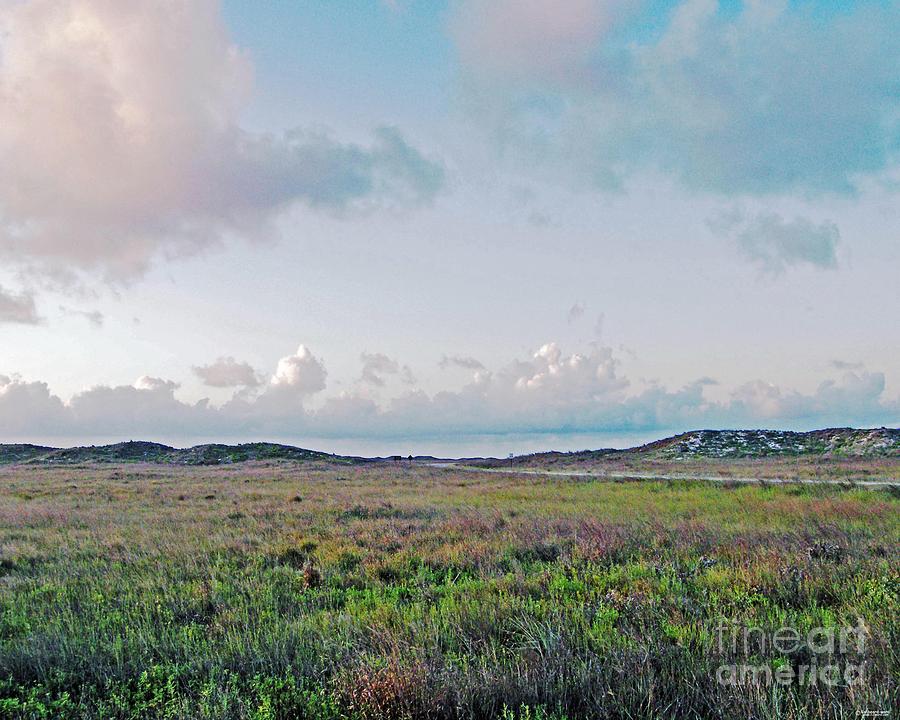Coastal Texas Prairie Photograph by Lizi Beard-Ward