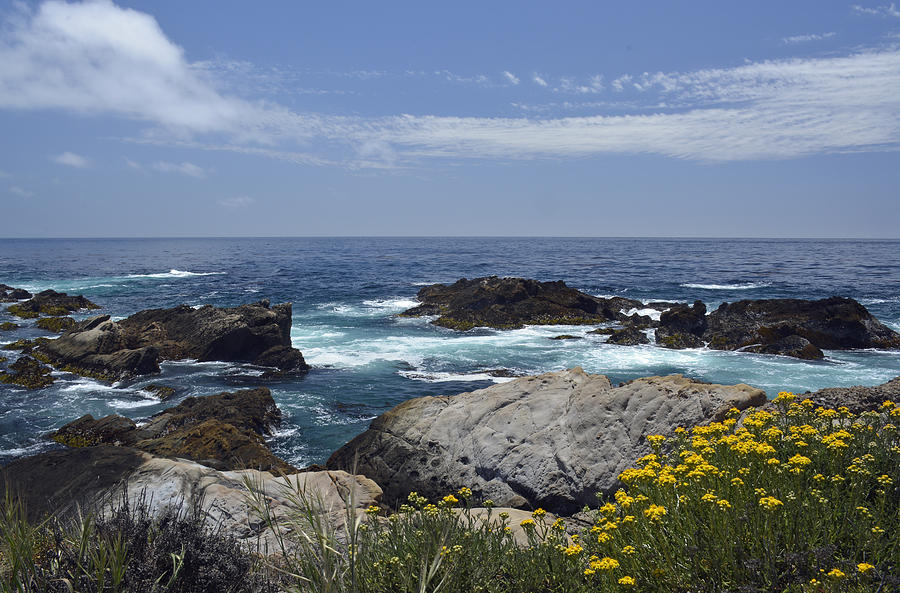 Coastline and Flowers in Californias Point Lobos State Natural Reserve Photograph by Bruce Gourley
