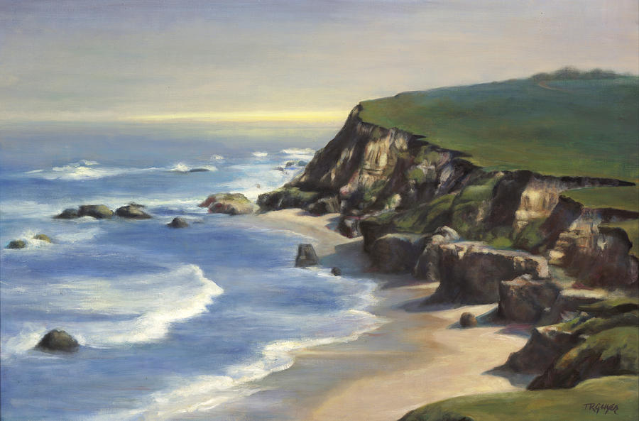 Coastline Half Moon Bay by Terry Guyer