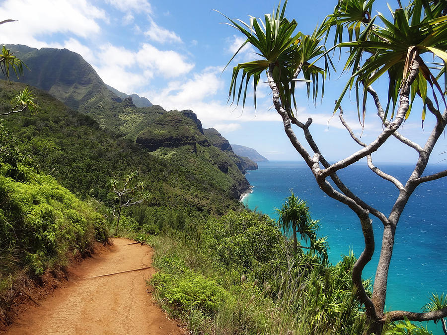 Coastline of Kauai  Photograph by Mountain Dreams