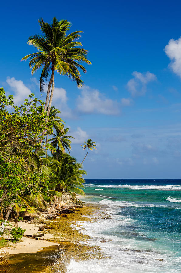 Nature Photograph - Coastline of San Andres Island in Colombia by Jess Kraft