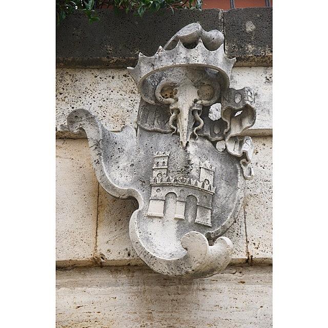 Antique Photograph - Coat Of Arms Over The Source-fountain by Adriano La Naia