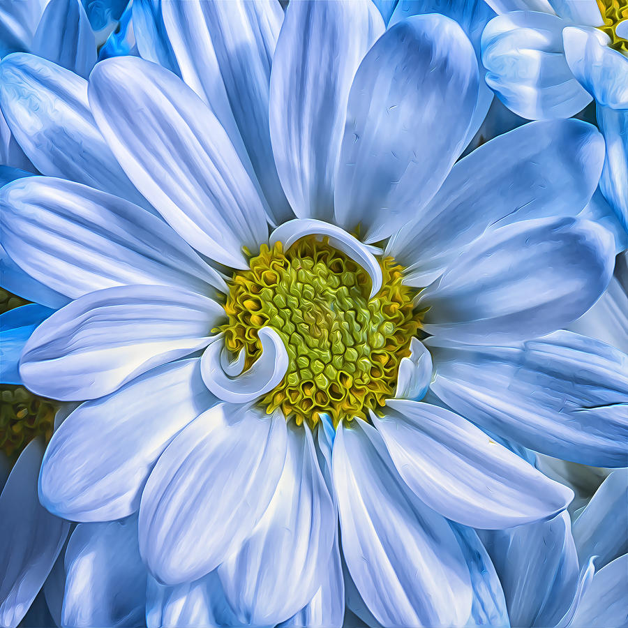 Cobalt Blue Petals Photograph by Bill and Linda Tiepelman