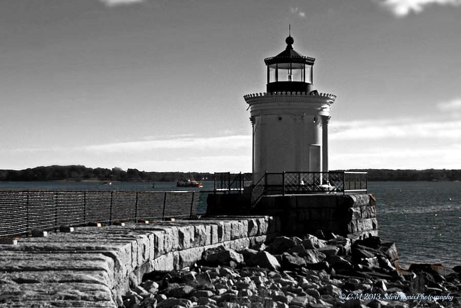 Cobbled Lighthouse Path Photograph