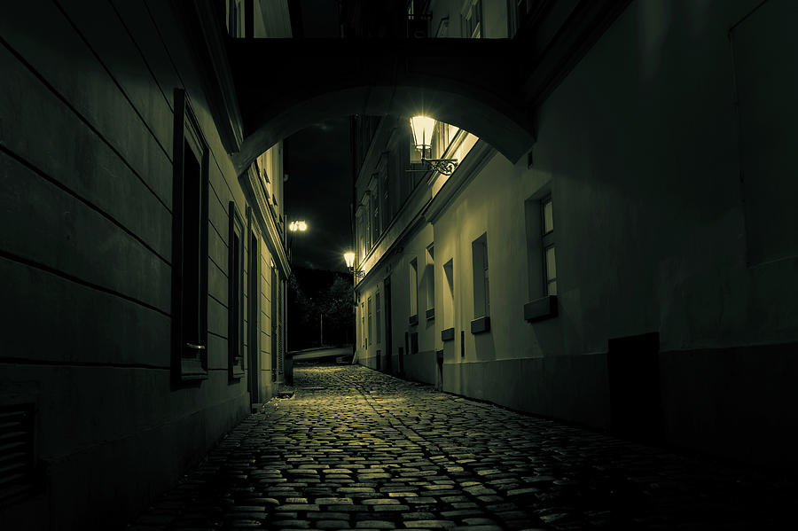 Cobbled Street At Night Photograph by Wladimir Bulgar