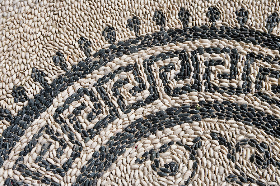 Cobblestone Mosaic Detail Photograph by Holger Leue