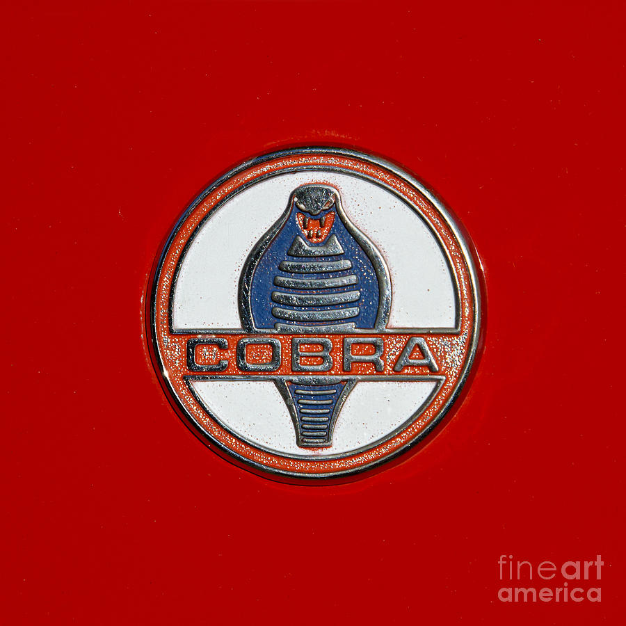 Vintage Photograph - Cobra Emblem by Dennis Hedberg