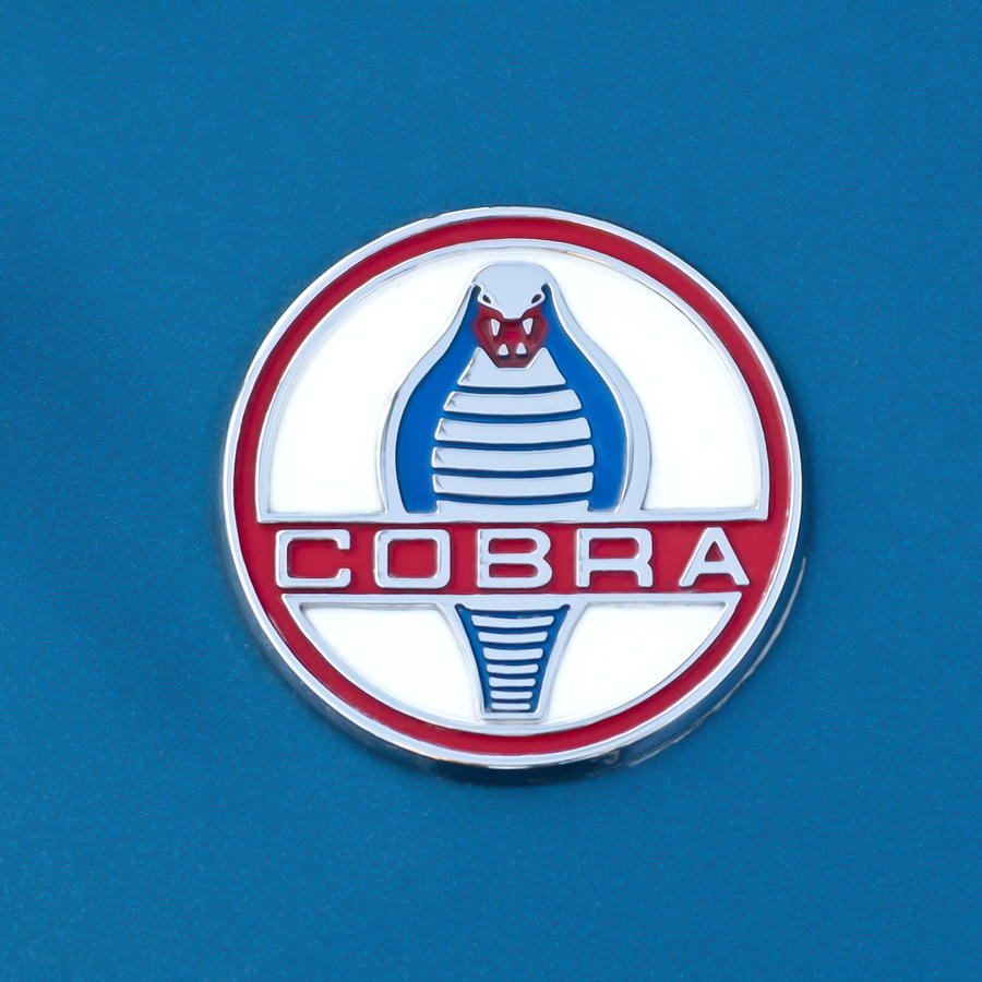 Cobra Photograph - Cobra Emblem by Jill Reger