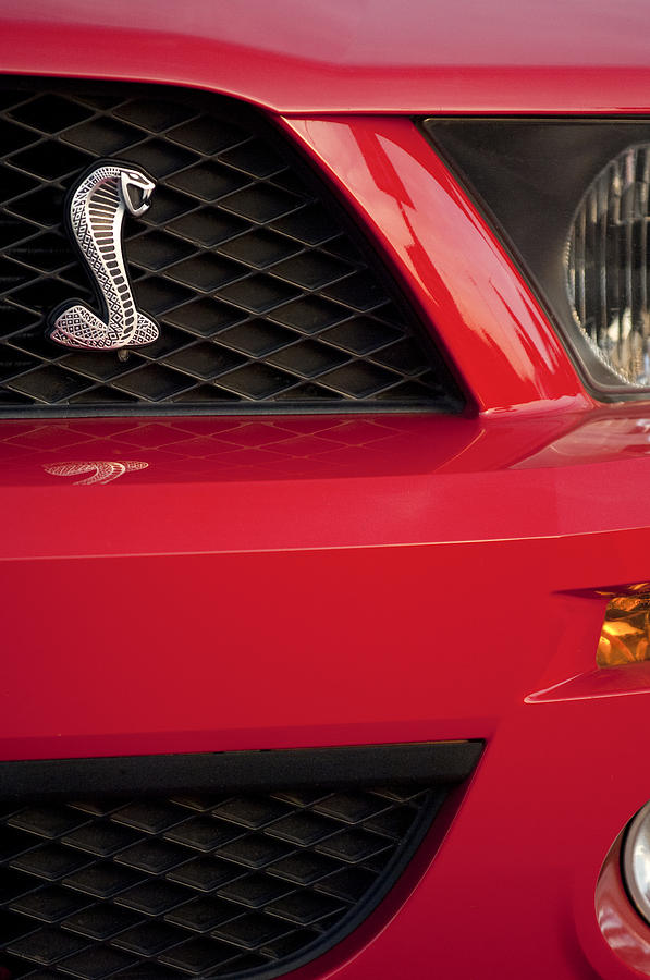 Cobra Grille Emblem Photograph by Jill Reger - Pixels