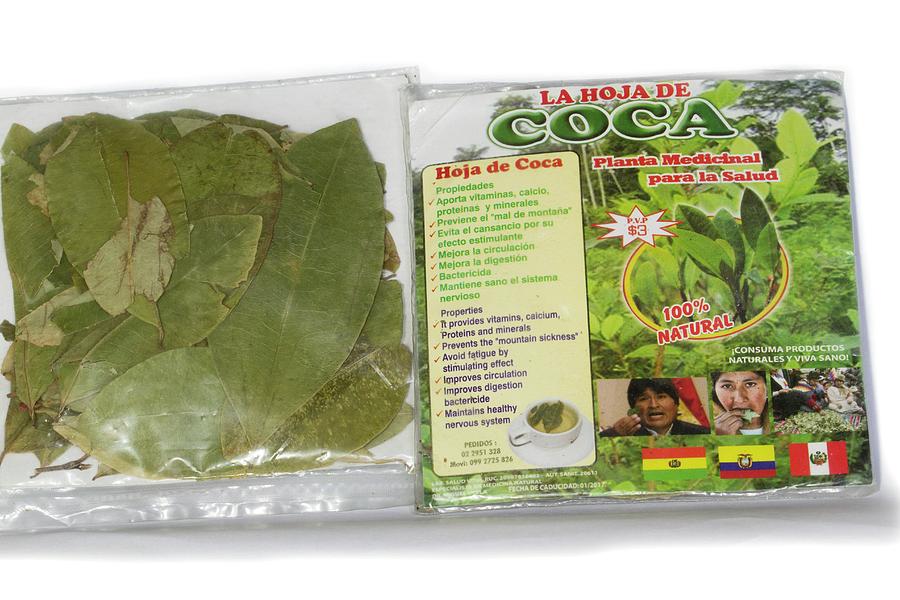 Coca Leaves From Peru Photograph by Dr Morley Read