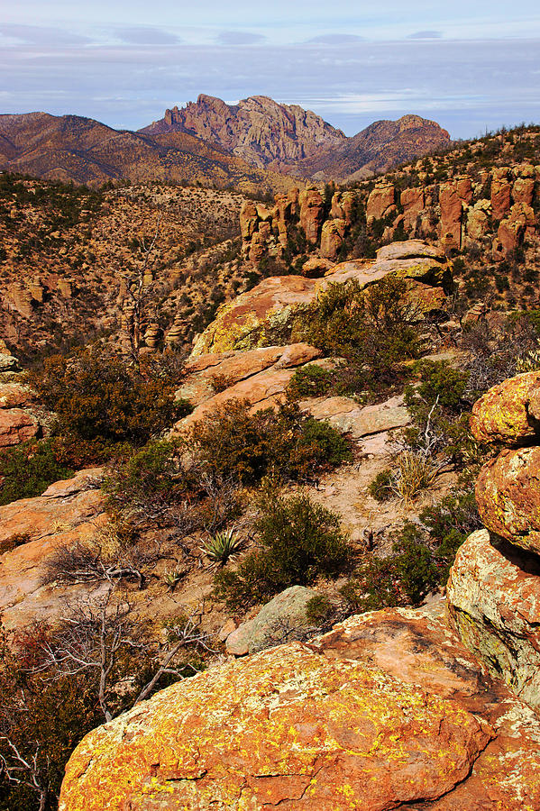 Cochise Head View Photograph by Daniel Woodrum