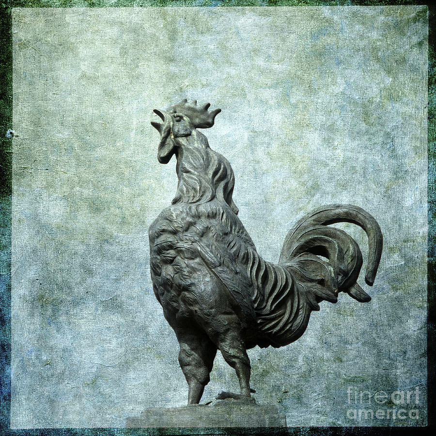 Animal Photograph - Cock by Bernard Jaubert