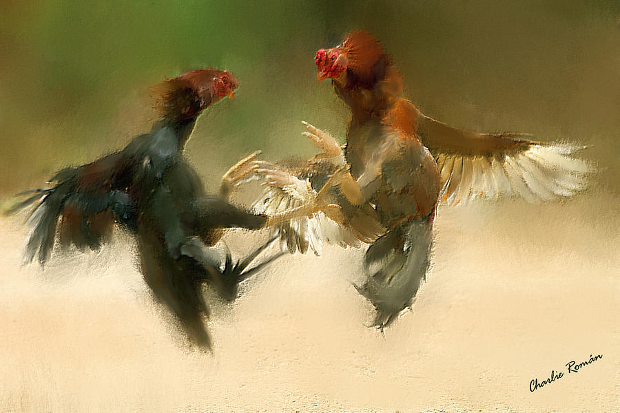 Cockfight Painting by Charlie Roman