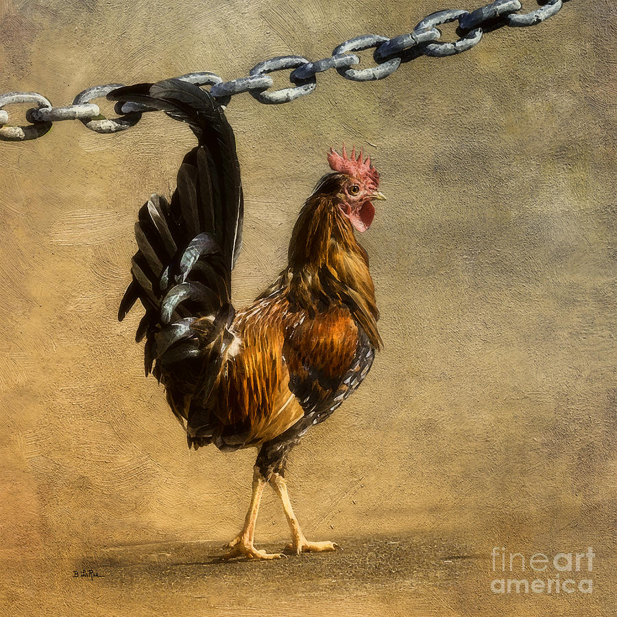 Chicken Photograph - Cock of the Walk by Betty LaRue