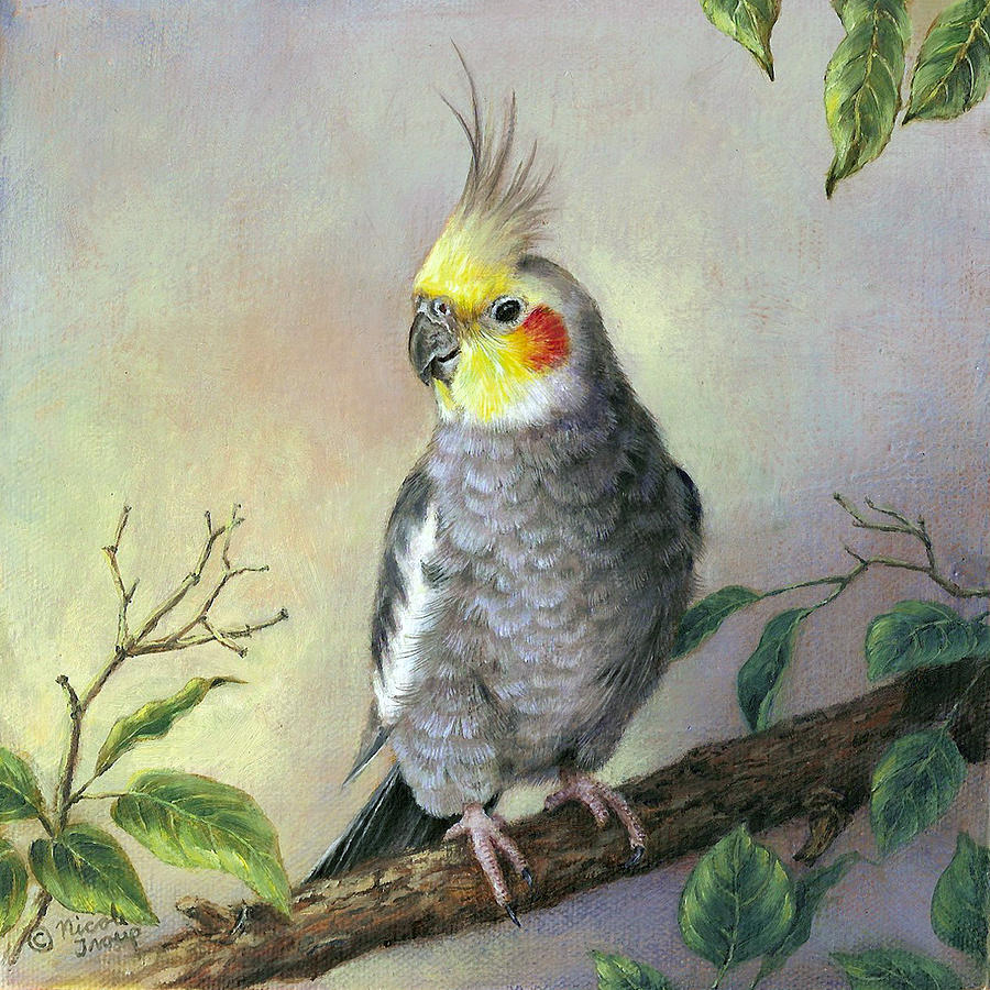 cockatiel painting
