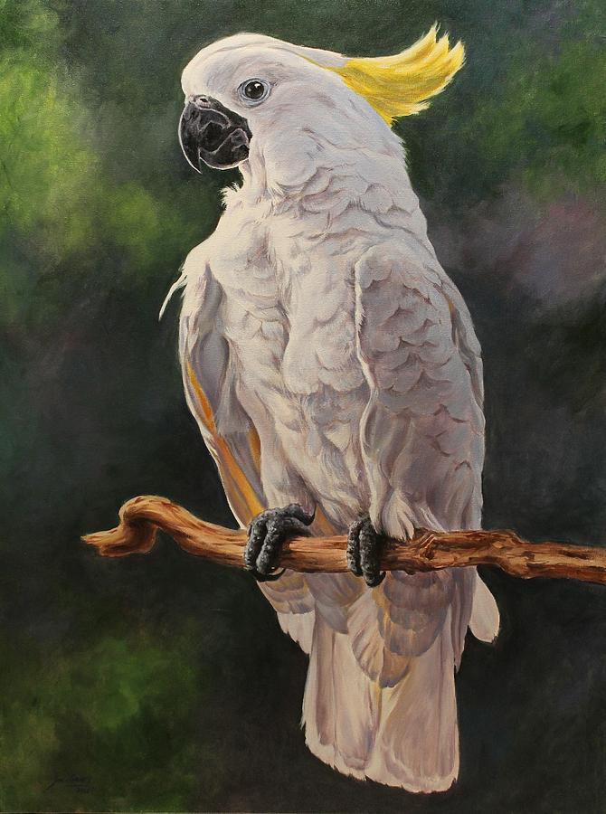 cockatoo oil painting