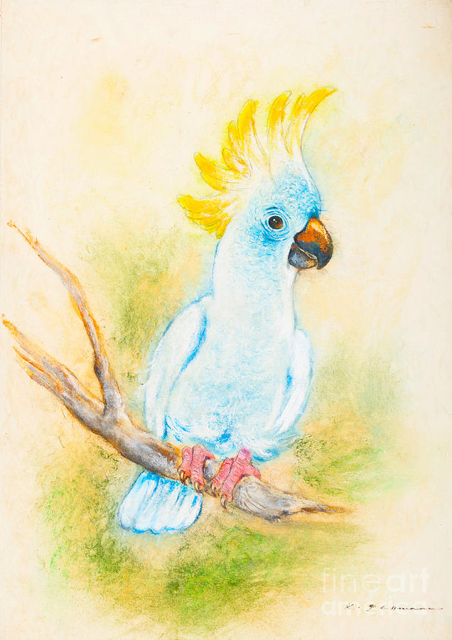 Cockatoo Painting by Kurt Tessmann - Fine Art America