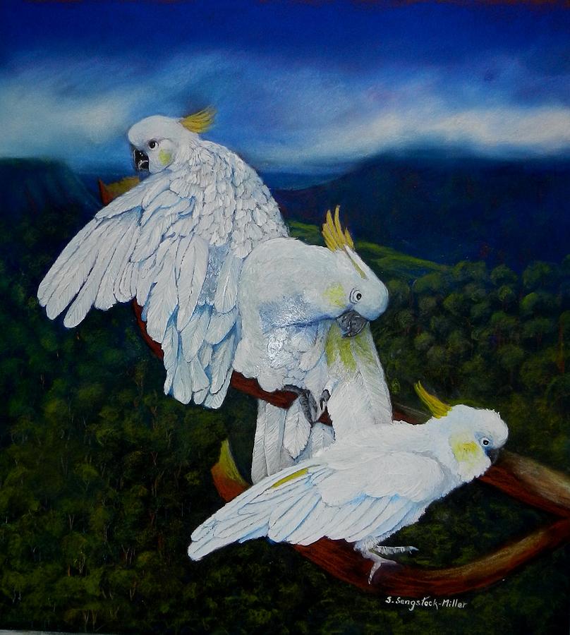 Nature Mixed Media - Cockatoo Lookout by Sandra Sengstock-Miller