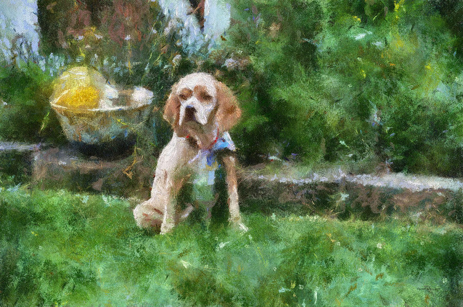 Woodcock Photograph - Cocker Spaniel Outside 05 by Thomas Woolworth