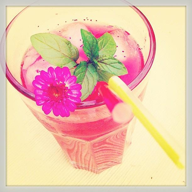 Strawberry Photograph - Cocktail pink Daisy #selfmade by Cy Rena