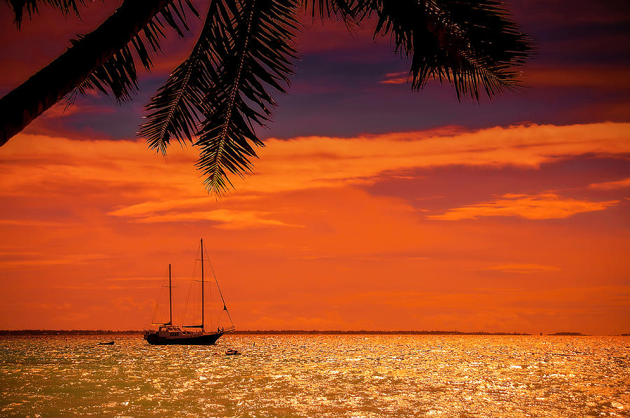 Sunset Photograph - Cocktail Tropical Dream by Jenny Rainbow