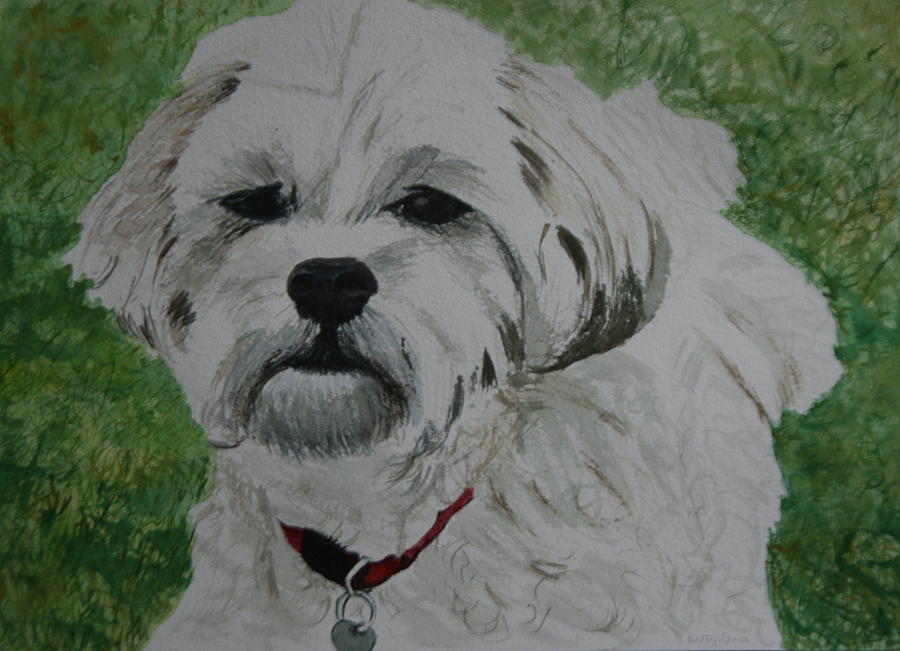 Coco Painting by Betty-Anne McDonald